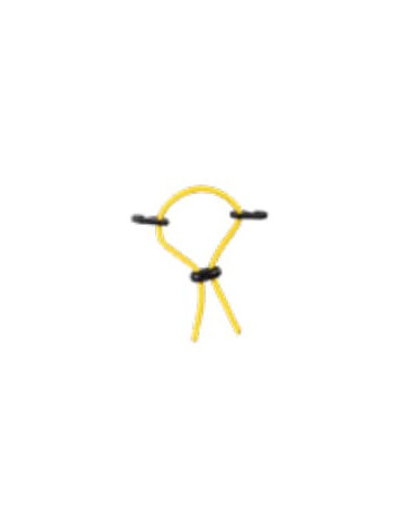 Tendeur élastique pour cylindre Ø60 - 300 mm pour APEX