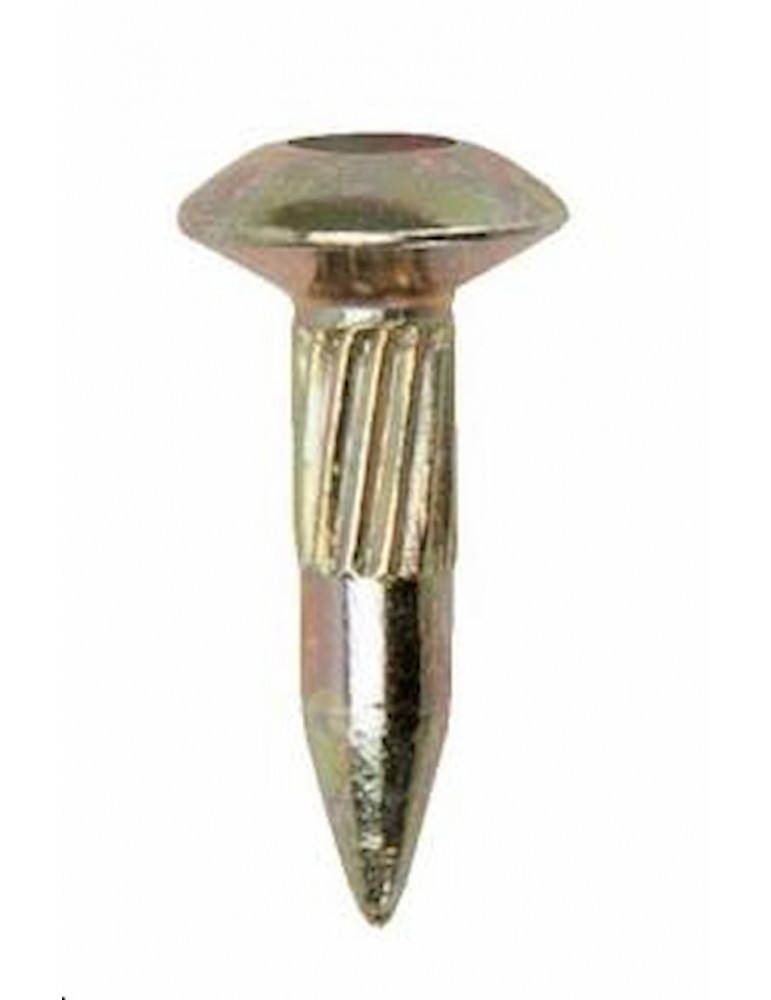 Clou de station 30 mm par 100 pièces | Ellipsetop.be